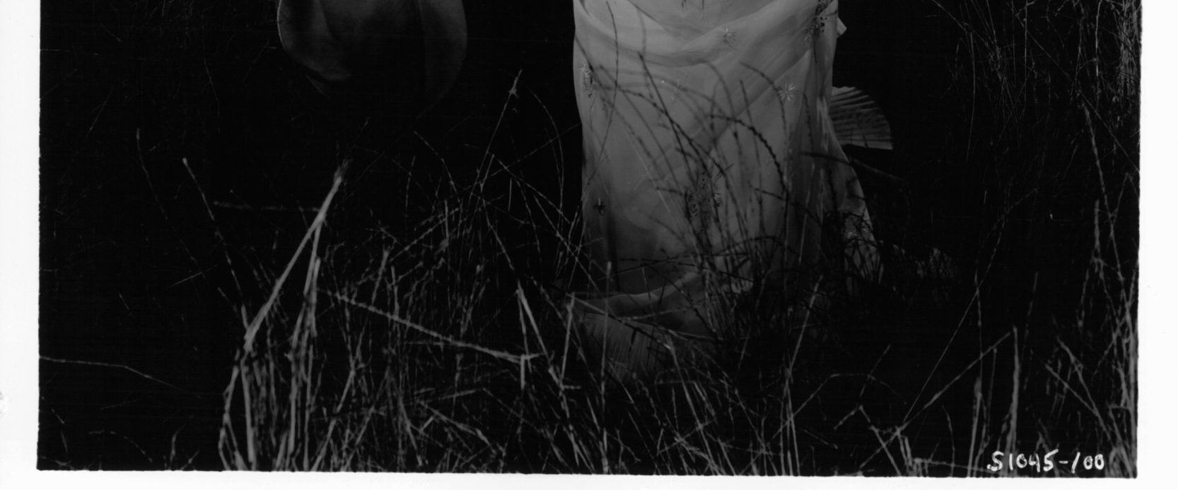 The Sea of Grass background