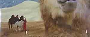 The Story of the Weeping Camel background