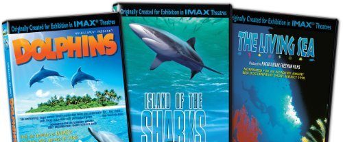 Coral Reef Adventure background