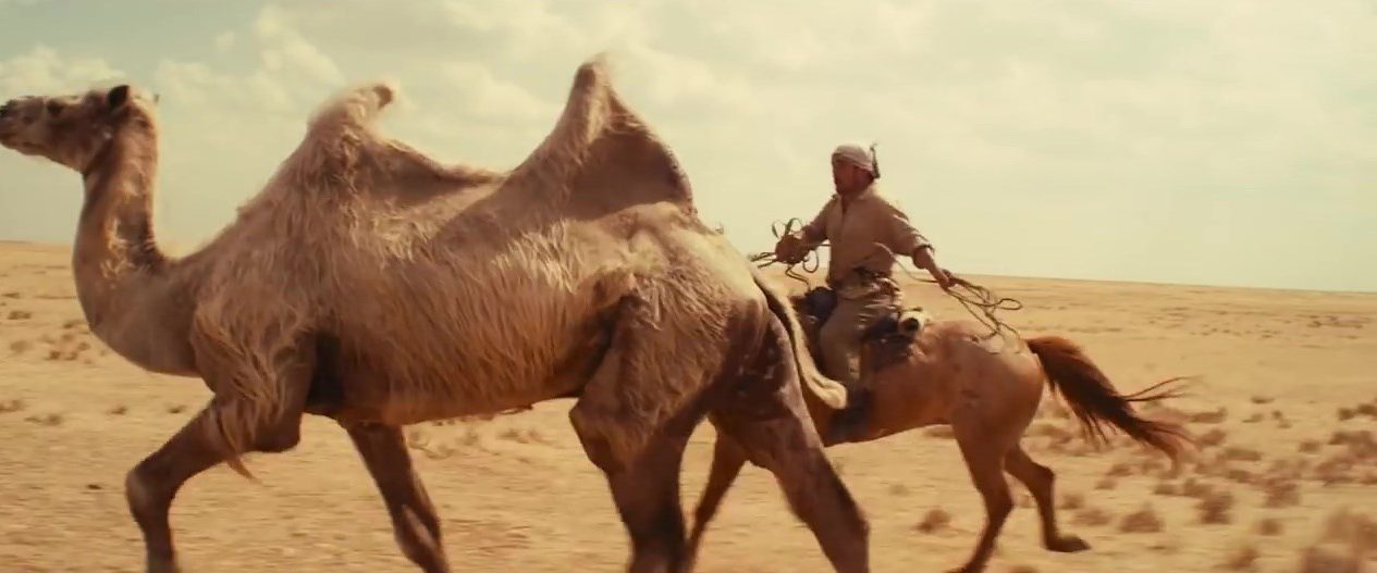 Celestial Camel background