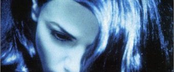 The Last Seduction background
