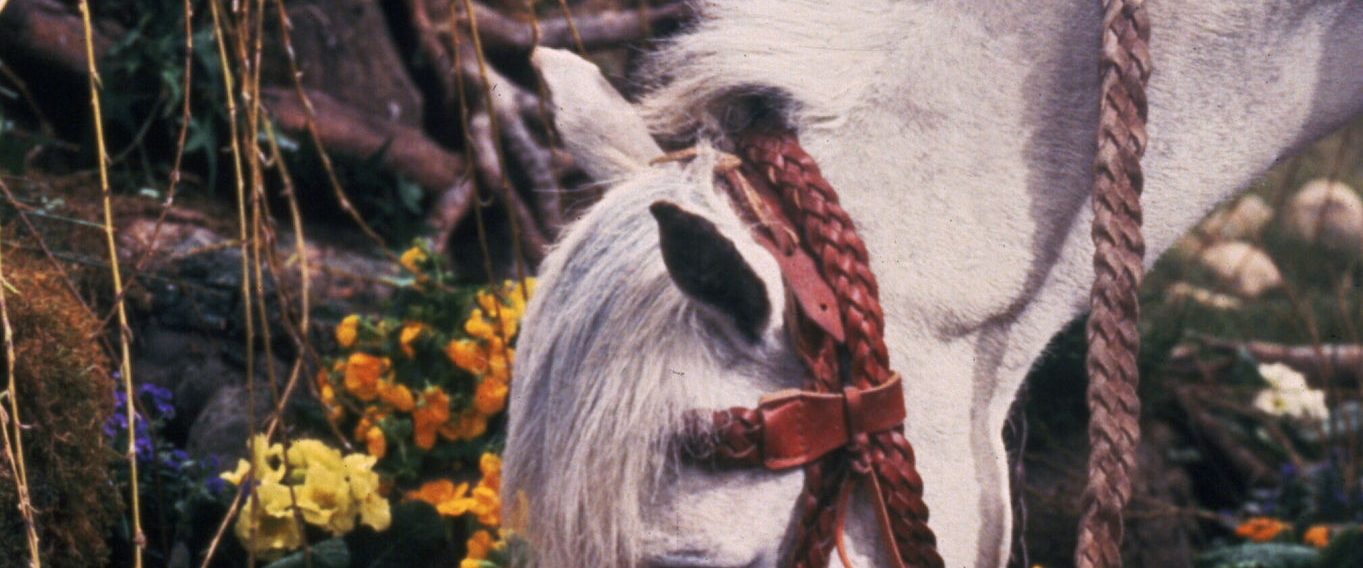 The NeverEnding Story background