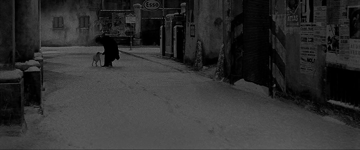 Le Notti Bianche background