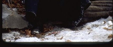 The Caveman's Valentine background