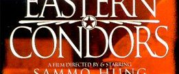 Eastern Condors background