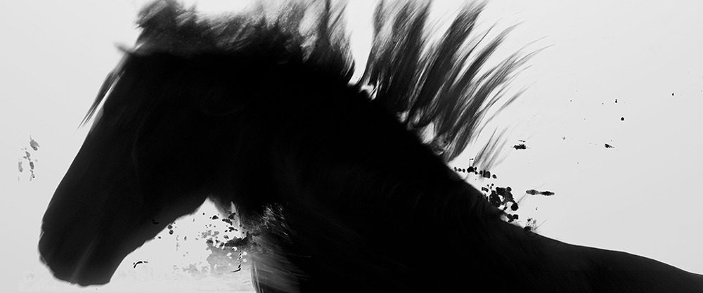 Absent Now the Dead background