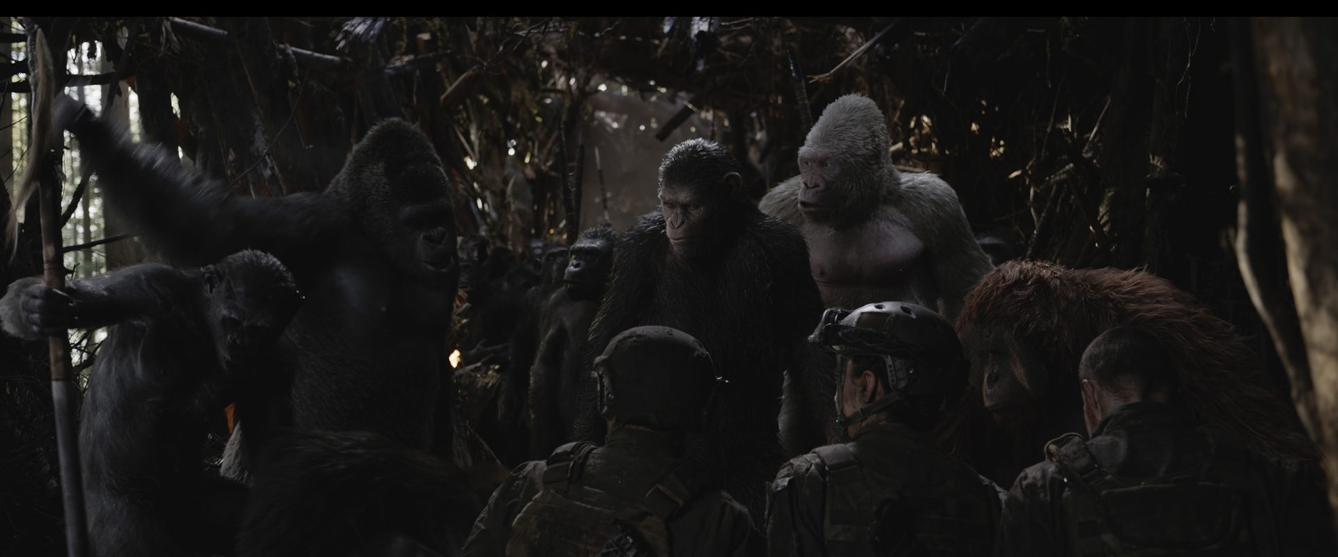 War for the Planet of the Apes background