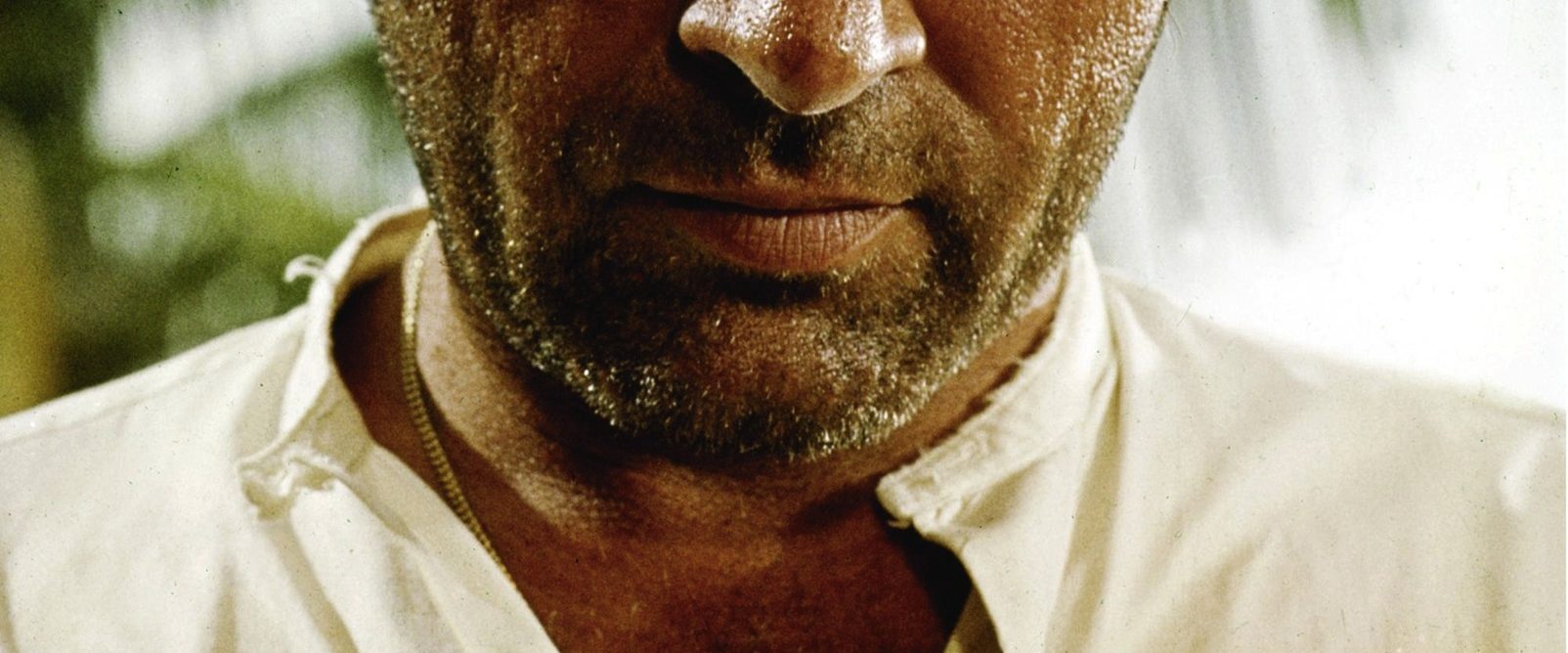 The Night of the Iguana background