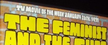 The Feminist and the Fuzz background
