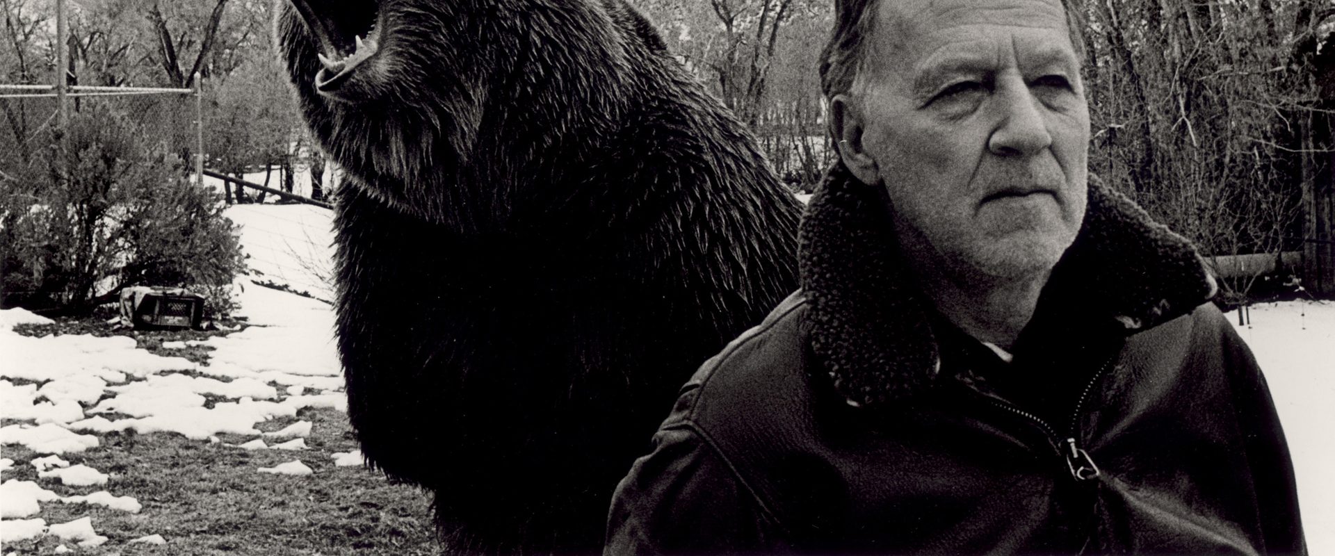 Grizzly Man background