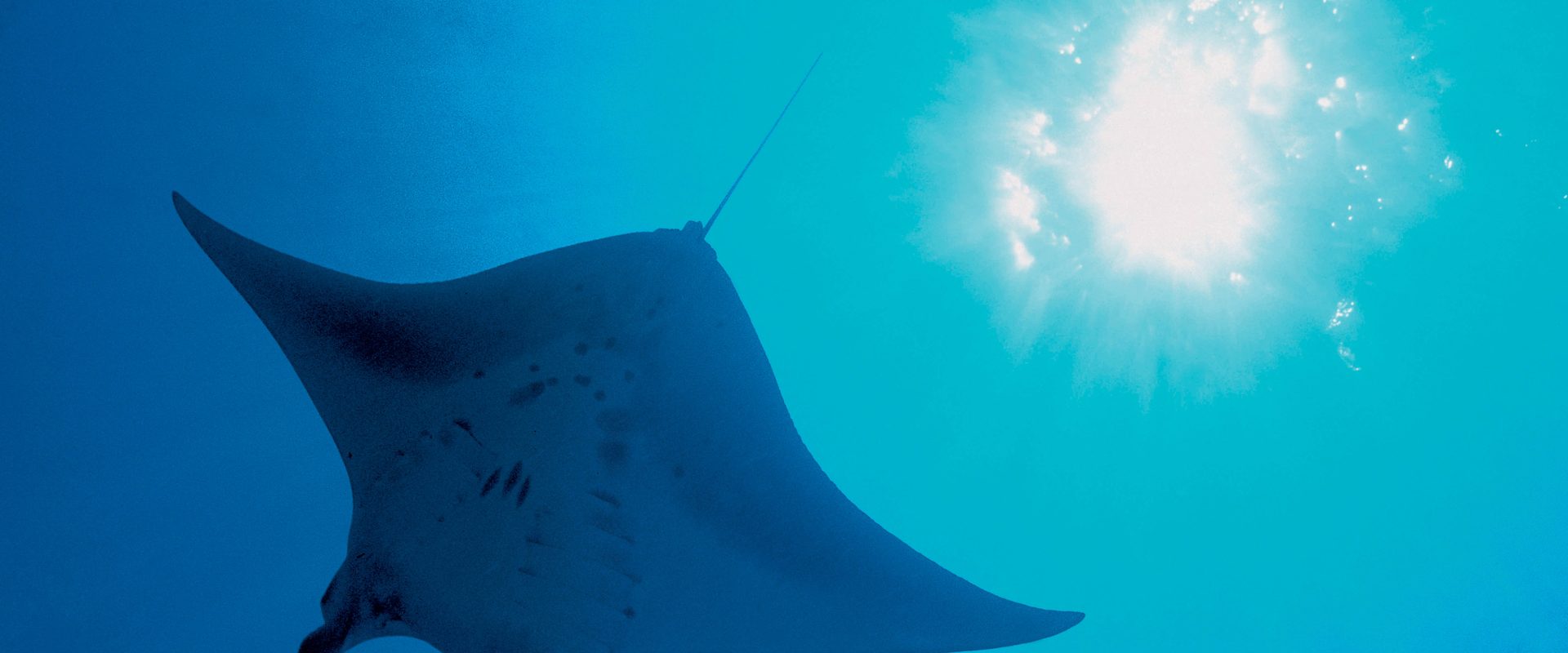 Deep Blue background