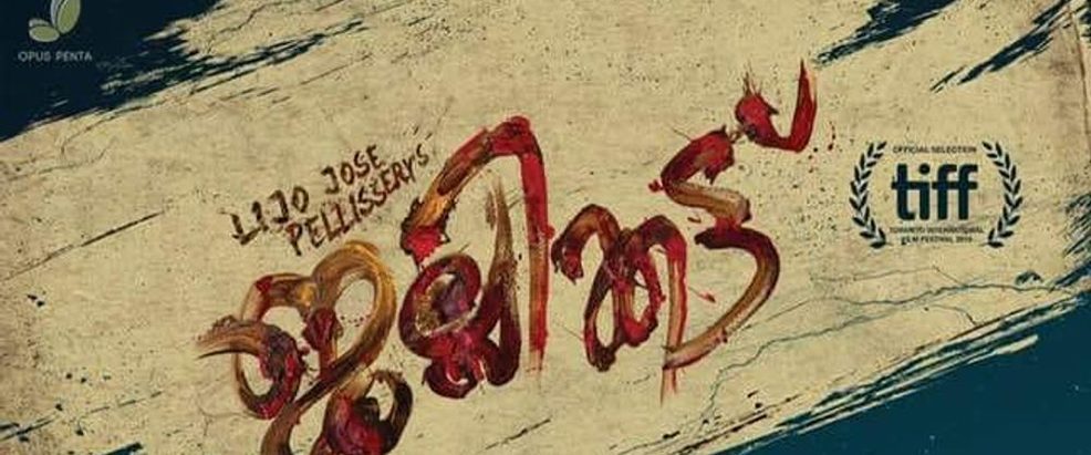 Jallikattu background