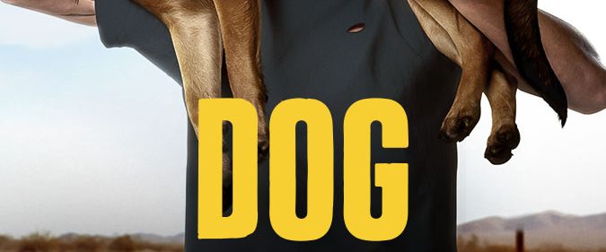 Dog background