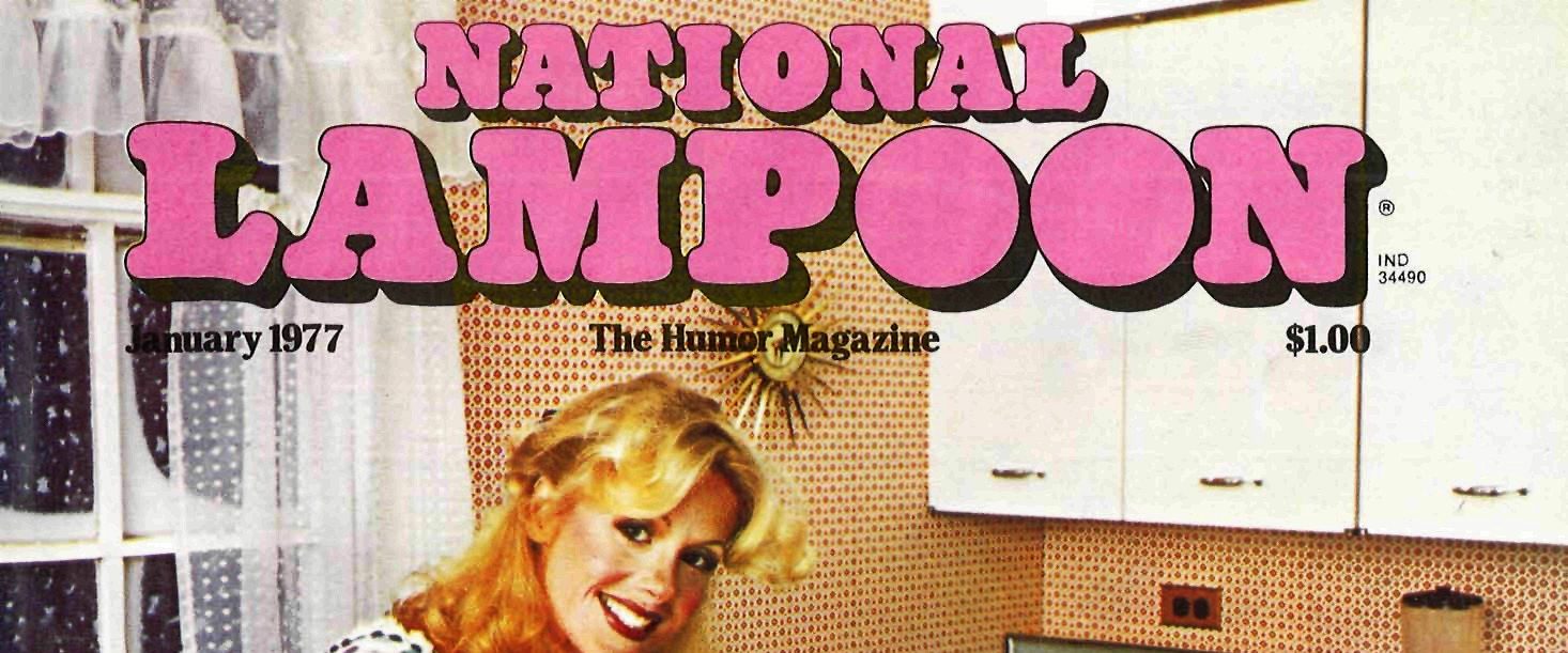 National Lampoon: Drunk Stoned Brilliant Dead background