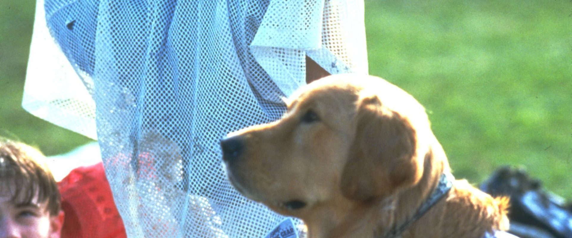 Air Bud: Golden Receiver background
