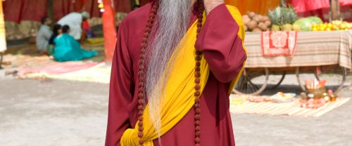 The Love Guru background