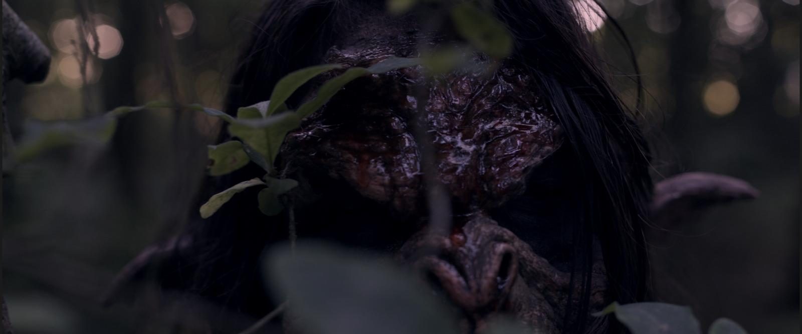 Cannibal Troll background