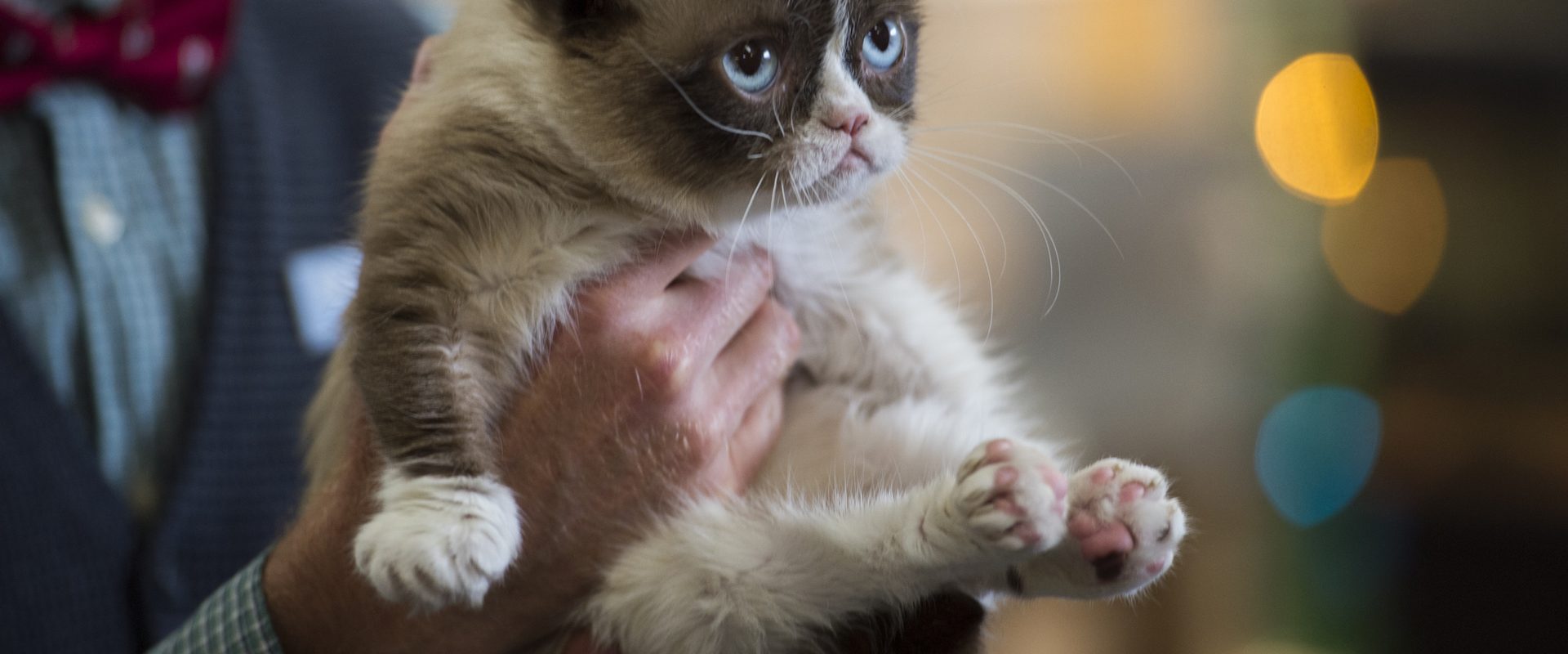 Grumpy Cat's Worst Christmas Ever background