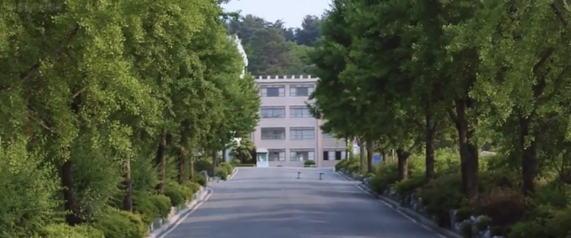 No Breathing background