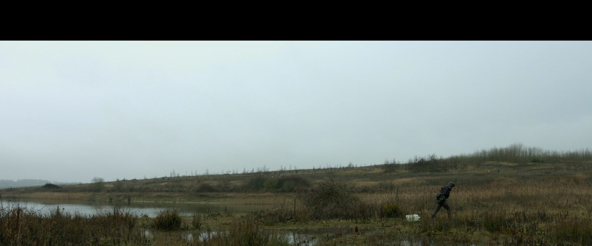 Edge of Extinction background
