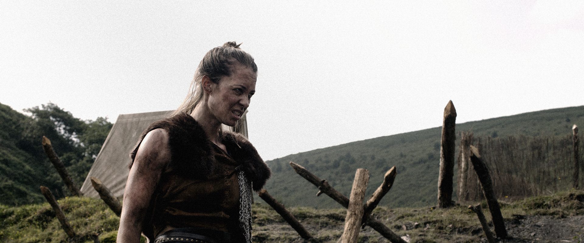 The Lost Viking background