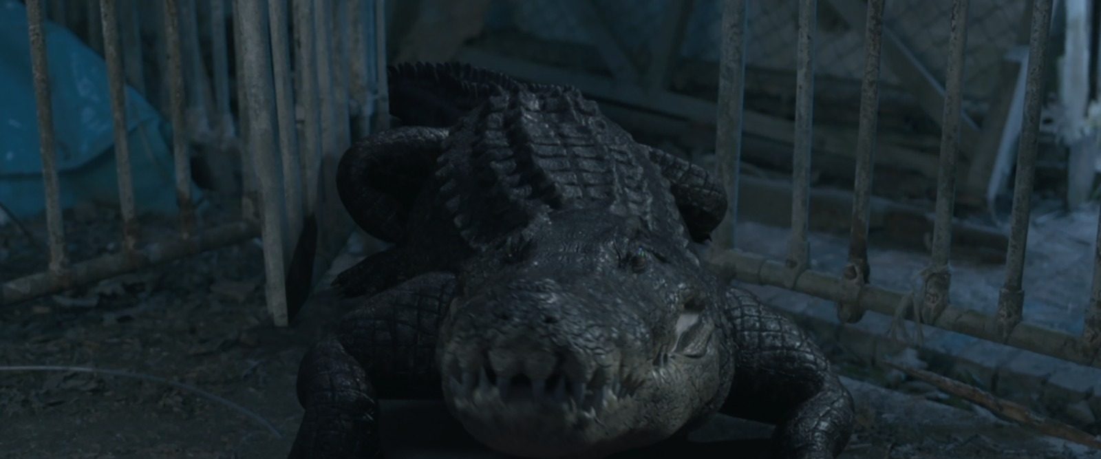 Crocodile Vengeance background