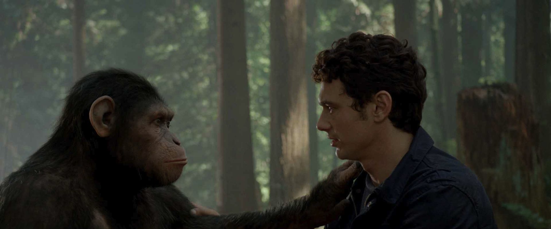 Rise of the Planet of the Apes background