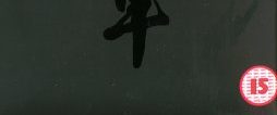 Shogun background