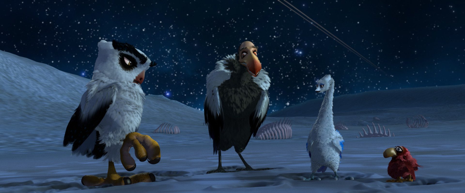 Birds Like Us background