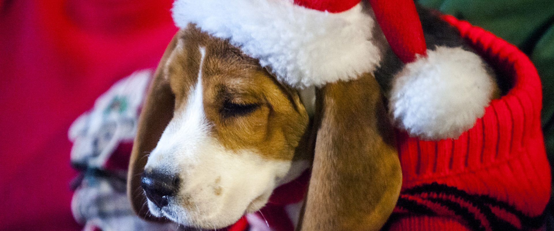 Christmas Under Wraps background