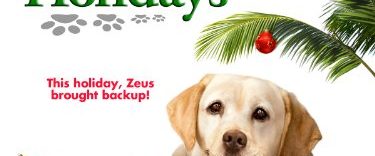 The Dog Who Saved the Holidays background