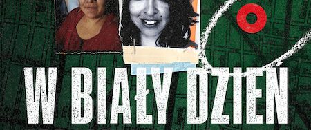 In Broad Daylight: The Narvarte Case background