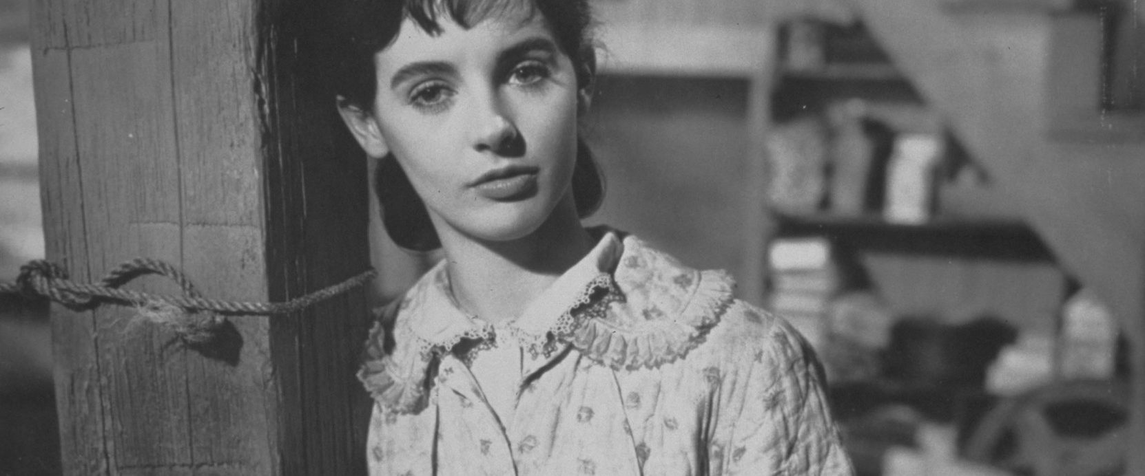 The Diary of Anne Frank background