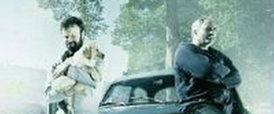 Undskyld! background