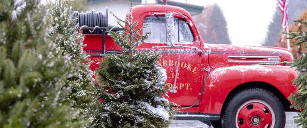 A Glenbrooke Christmas background