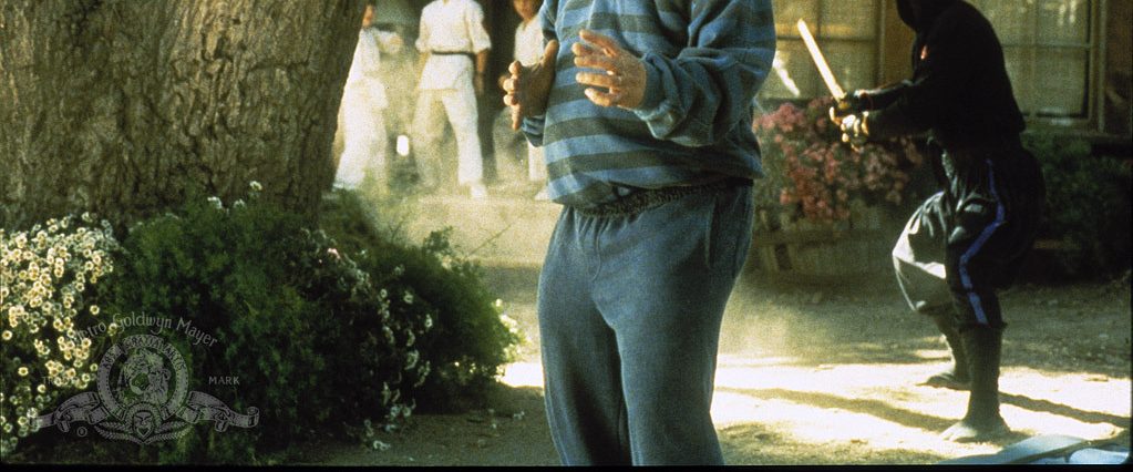 3 Ninjas background