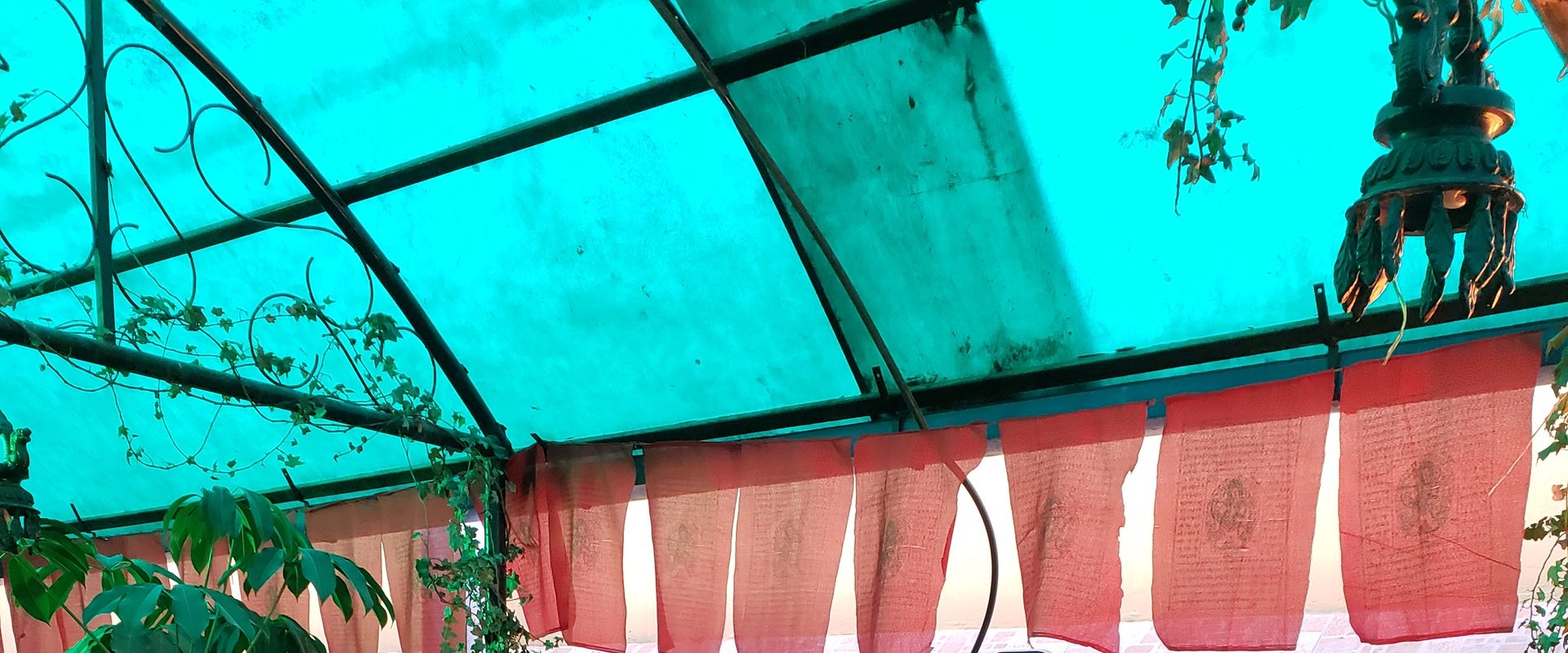 The Tiger's Nest background