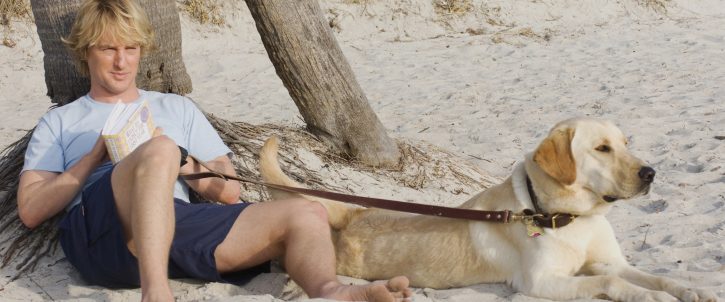 Marley & Me background