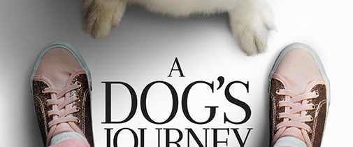 A Dog's Journey background
