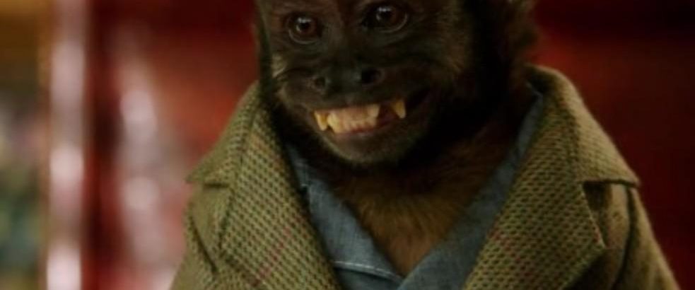 Monkey Up background