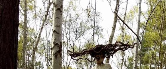 The Birch background