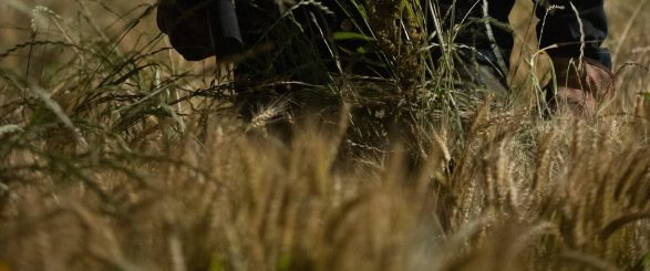 The Town that Dreaded Sundown background