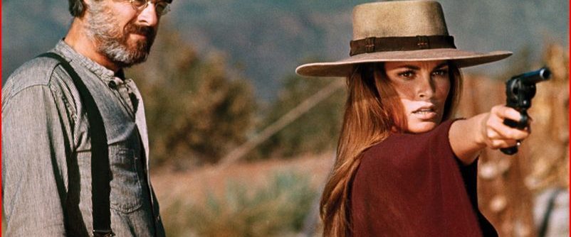 Hannie Caulder background