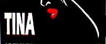 What's Love Got to Do with It background
