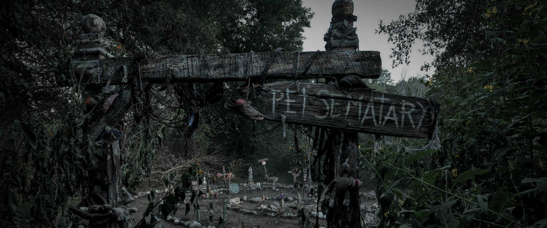 Pet Sematary: Bloodlines background