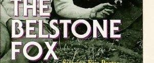The Belstone Fox background