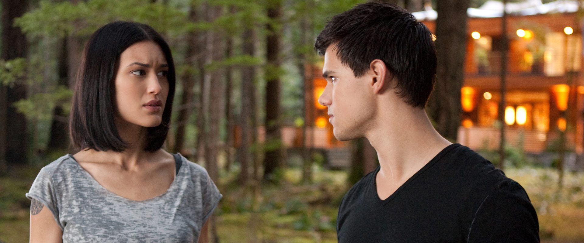 The Twilight Saga: Breaking Dawn - Part 1 background