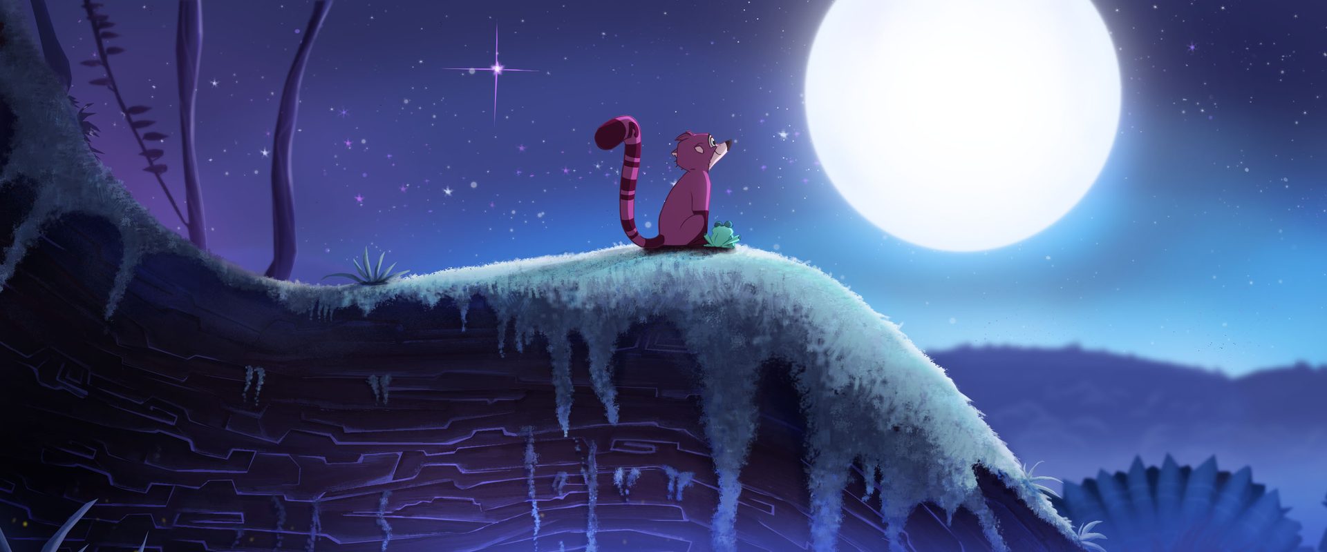 Koati background