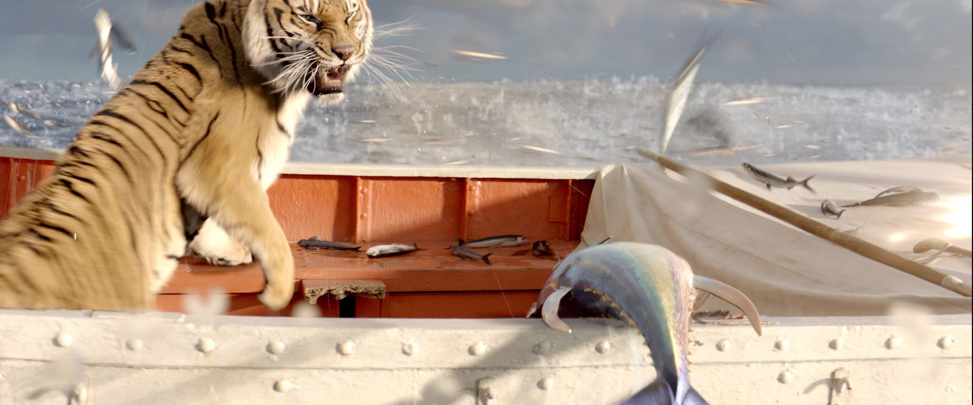 Life of Pi background