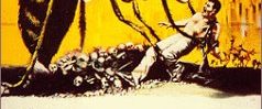 The Wasp Woman background